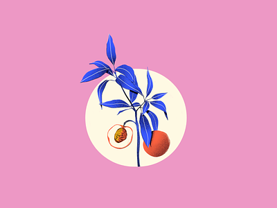 Peach branding design drawing flat fruit graphic design illustration logo peach plant texture ui ux vector