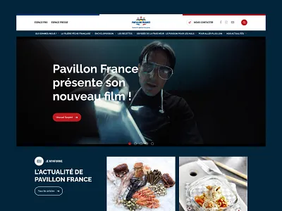 Pavillon France ui ux vector webdesign