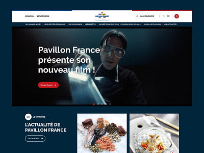 Pavillon France ui ux vector webdesign
