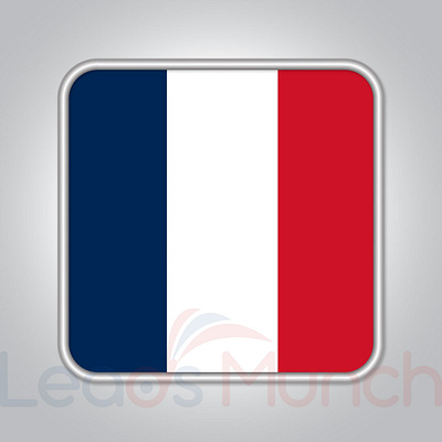 France Consumer Email List, Sales Leads Database b2c email list email marketing france leads