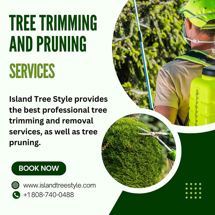 Tree Care Services by Island Tree Style by Island Tree Style on Dribbble
