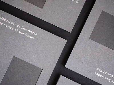 Memories of the Andes Exhibition Catalogue book design catalogue catalogue design design editorial editorial design exhibition graphic design minimal print print design typography