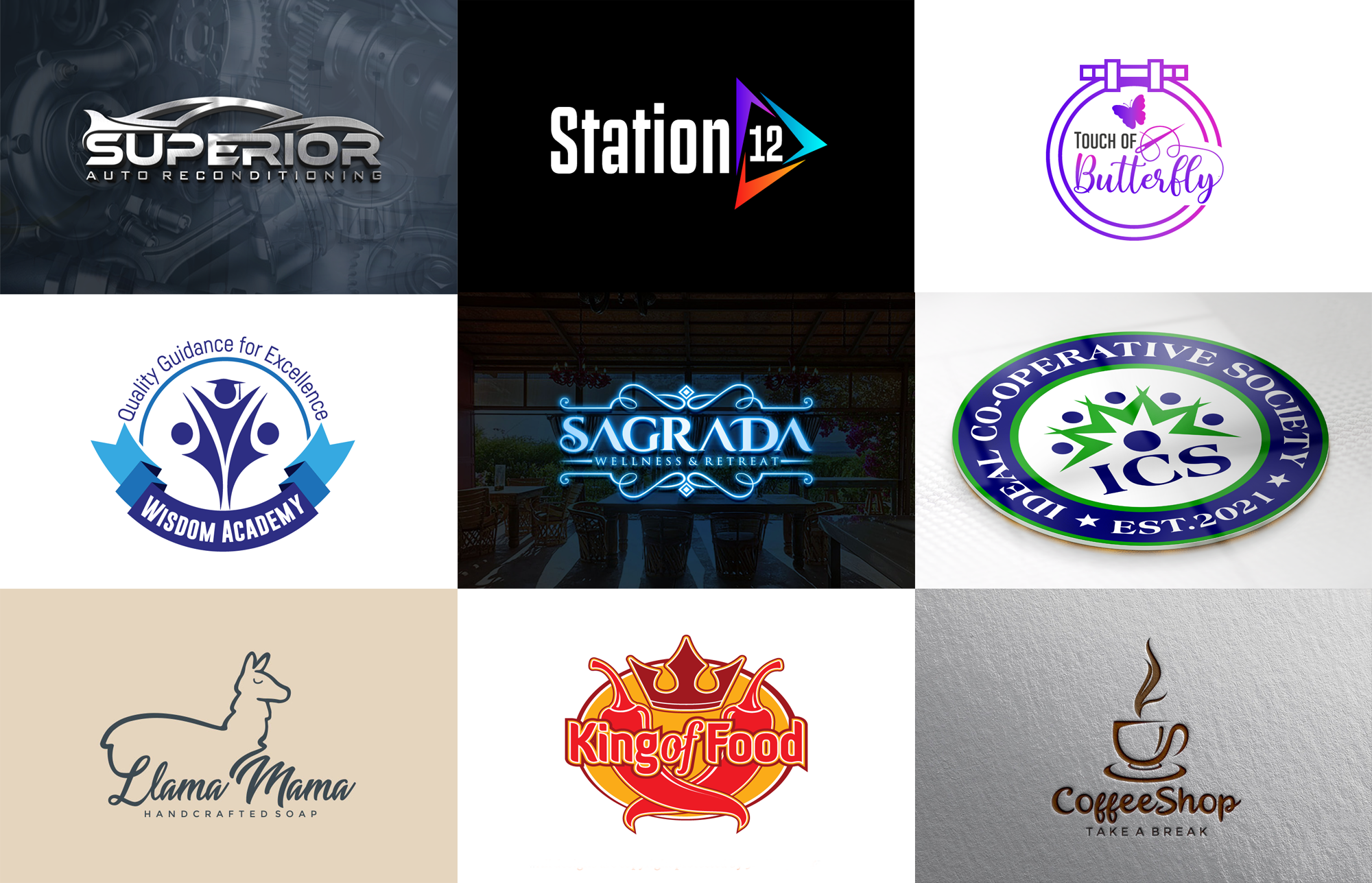 Example of I Will Design Professional Logo