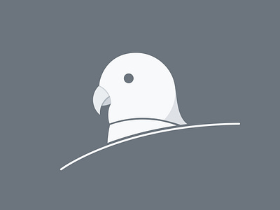 Bird bird design graphic design illustration vector