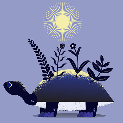 growth aftereffect animation graphic design growth illustration illustrator motion graphics turtle