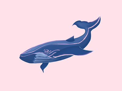 Whale art illustration procreate whale