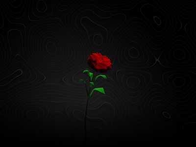 Bloodrose design flower graphic design growth illus illustration plant red rose vector