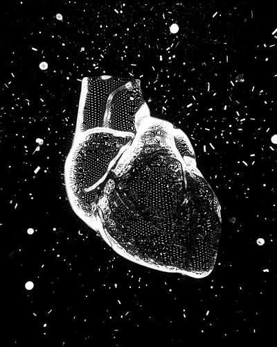 Heart animation branding illustration motion graphics