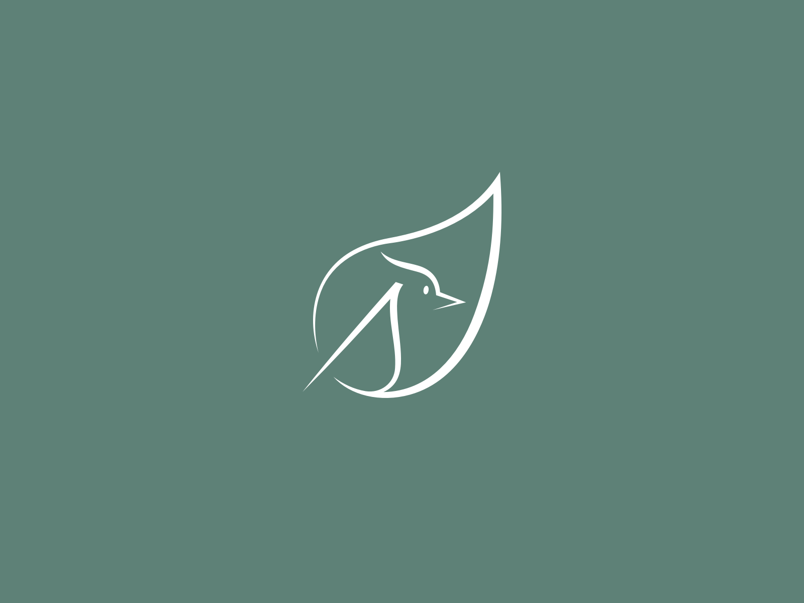 Specht — Landscaping Logo Design adobe illustrator bird brand branding concept garden landscape landscaping leaf logo plants sketch vector
