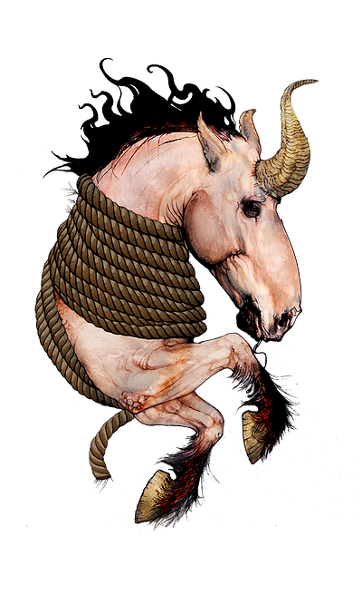 Wild Unicorn design draw graphic design illustration