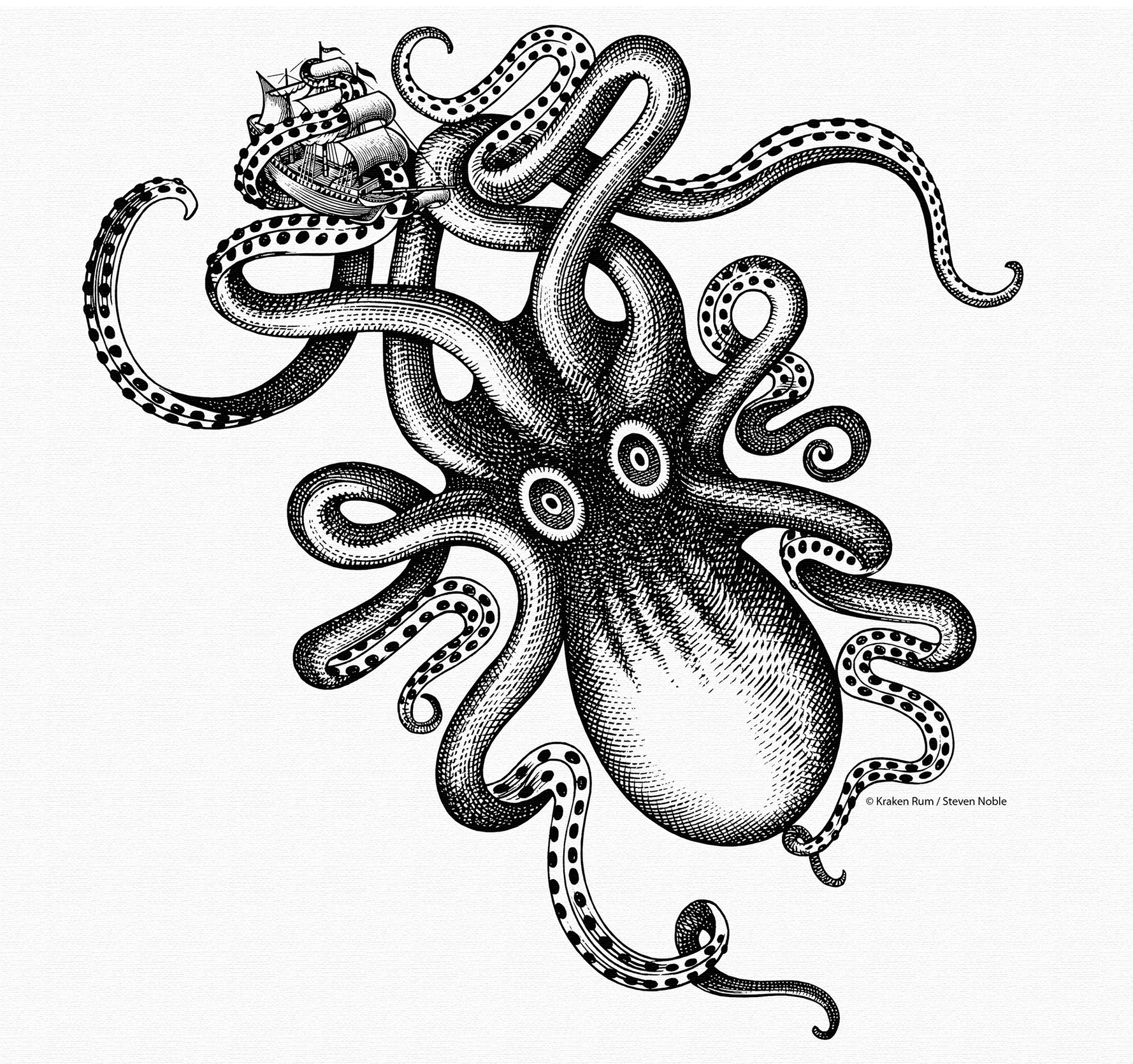 Kraken Rum Illustration by Steven Noble artist artwork crosshatch design engraving etching illustration illustrator ink kraken kraken rum line art linocut logo octopus scratchboard steven noble woodcut