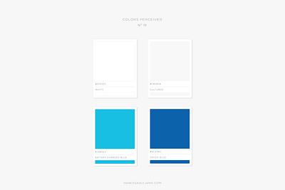 COLORS PERCEIVED No 19 blue brand brand identity branding color color palette design identity inspiration