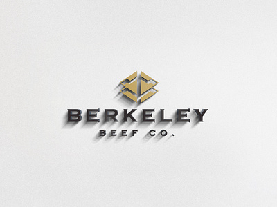 BERKELEY Brand Identity Design brand guideline design branding graphic design logo logo brand identity design logo design memos logo brand identity design