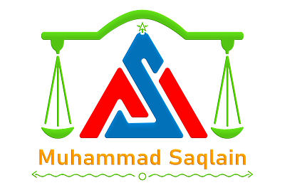 Muhammad Saqlain Logo 3d animation branding design graphic design illustration logo ui ux vector