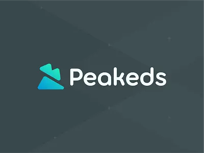 Peakeds Logo Design branding camp camping hexagon hill identity landscape logo logo design mark mountain negative space peak poly polygon snow peak software symbol tech technology
