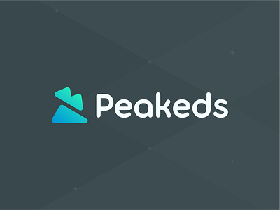 Peakeds Logo Design branding camp camping hexagon hill identity landscape logo logo design mark mountain negative space peak poly polygon snow peak software symbol tech technology