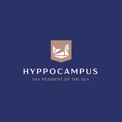 Hyppocampus yacht logo branding design graphic design hyppocampus logo sea horse logo vector