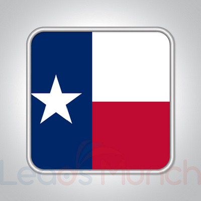 Texas Consumer Email List, Sales Leads Database b2c email marketing texas usa