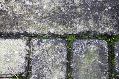 Patterned Mossy Brick Texture Photo weathered