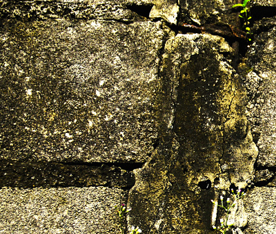 Photo of Mossy Bricks Background rust