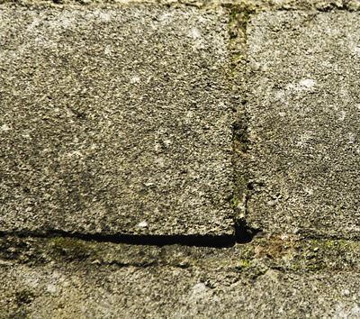 Coarse Textured Brick Background Photo photo