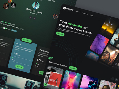 Soul Family Sounds - Landing Page beats clients concert design family festival figma future ai landing page midi music music landing page plugins presets pricing plan samples soul sounds ui ux