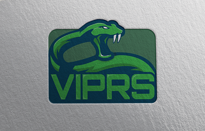 Team VIPRS branding design graphic design illustration logo vector