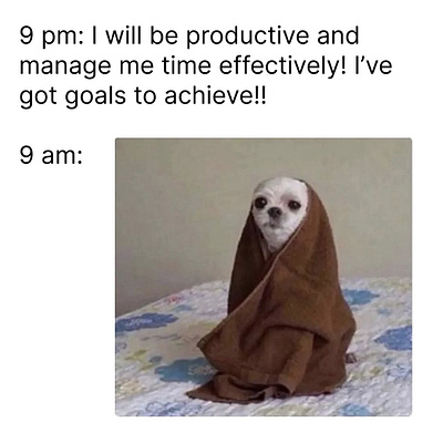 Productivity meme blanket blog cute dog effective flat funny goals graphic design haha humor joke meme minimalistic motivation plain plaintext productivity smart text