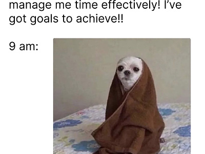 Productivity meme blanket blog cute dog effective flat funny goals graphic design haha humor joke meme minimalistic motivation plain plaintext productivity smart text