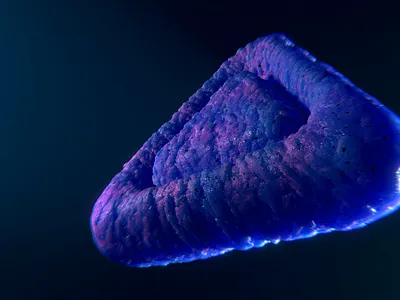 Abstract Triangle 3d abstract abstract art animation art motion motion design motion graphics