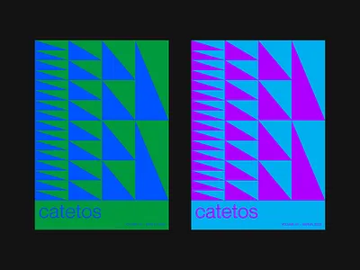catetos / exhibition posters art branding graphic design illustration logo vector