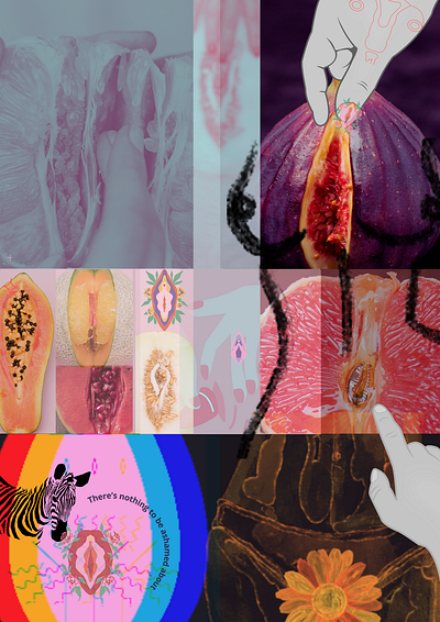 .Vulvas are beautiful. collage design difference different illustration vulva