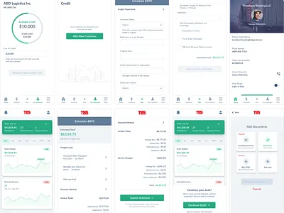 TBS GetPaid design illustration ios mobile ui ux
