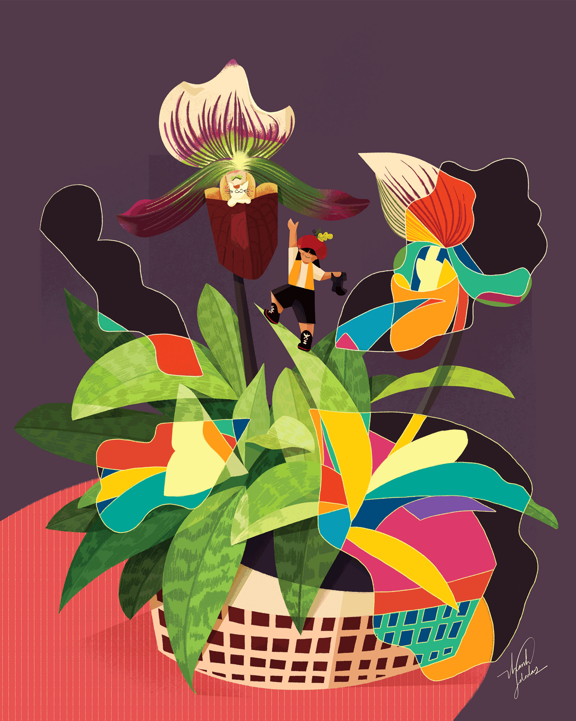 HONG KONG LADY'S SLIPPER ORCHID art artwork botanical cat colorful digitalillustration drawing hong kong ladys slipper orchid ideation illustration illustrator plant thanh soledas