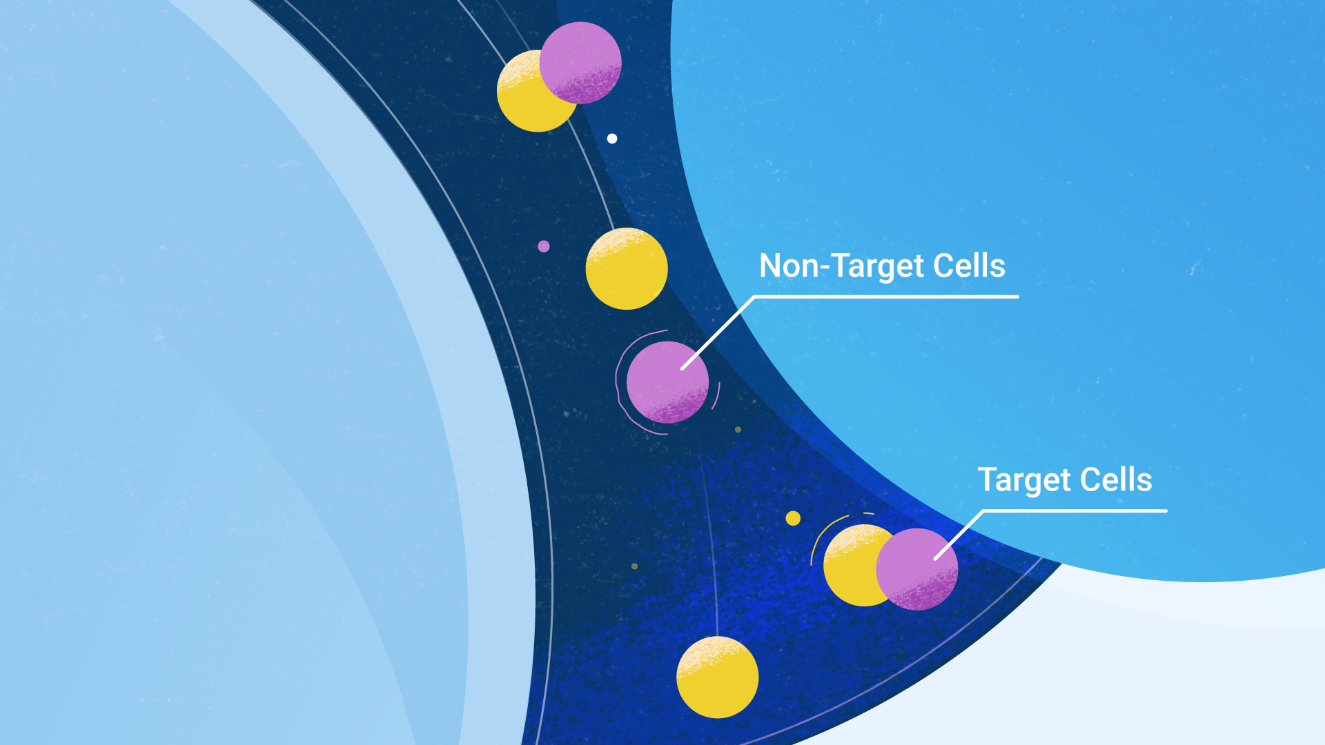 search for a style for a video expander animation branding graphic design motion graphics style search ui