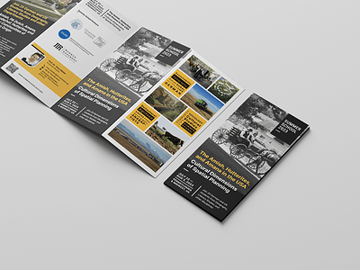 Summer School USA 2023 | 4-fold Brochure 4 fold brochure black and yellow brochure design graphic design summer school