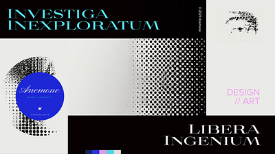 Investiga. Libera. branding design graphic design logo vector