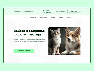 Design for Vet clinic design ui ux