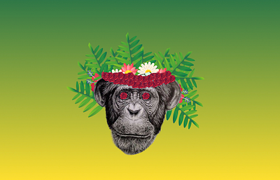 Monkey app branding design figma graphic design illustration logo ui ux vector