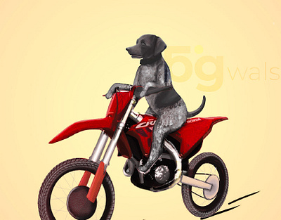 Dog on bike 2d graphic design illustration logo