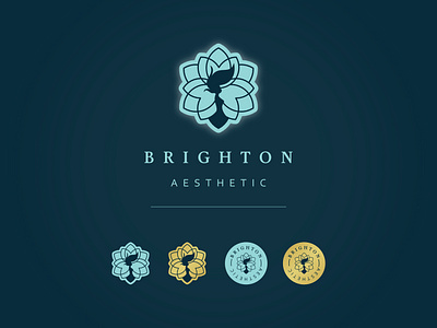Brighton Aesthetic Rebrand banners beauty branding design graphic design illustration logo poster rebrand