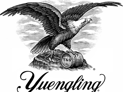 Yuengling Brewery Logomark Illustrated by animals artist artwork brandmark design drawing eagle engraving etching illustration ink line art linocut logo logos pen and ink scratchboard steven noble woodcut