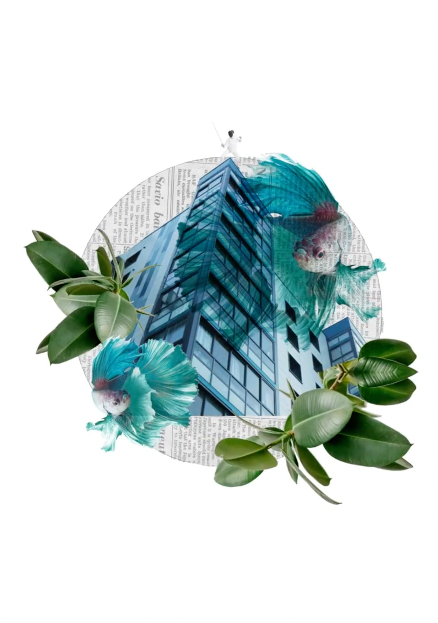 DIGITAL COLLAGE ANIMATION animation collage digital collage motion graphics