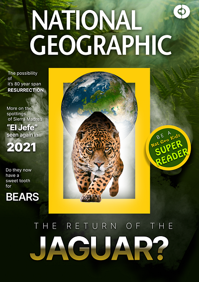 NatGeo designed by C_D app art branding cover design graphic design illustration logo magazine natgeo typography ui ux vector