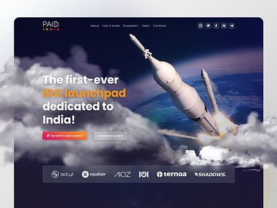 PAID India branding concept design crypto design illustration lander webpage