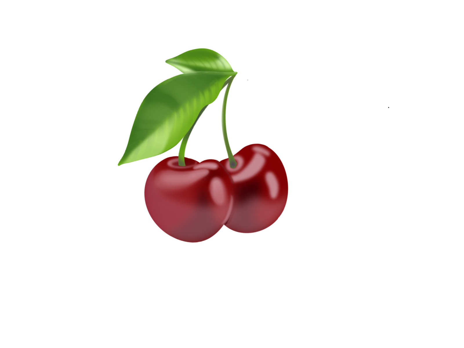 Realistic Cherry Sticker by Subhashree on Dribbble