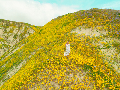 Superbloom artist california camera drone flower lightroom model nature photographer photography photoshop portrait spring superbloom wilderness yellow