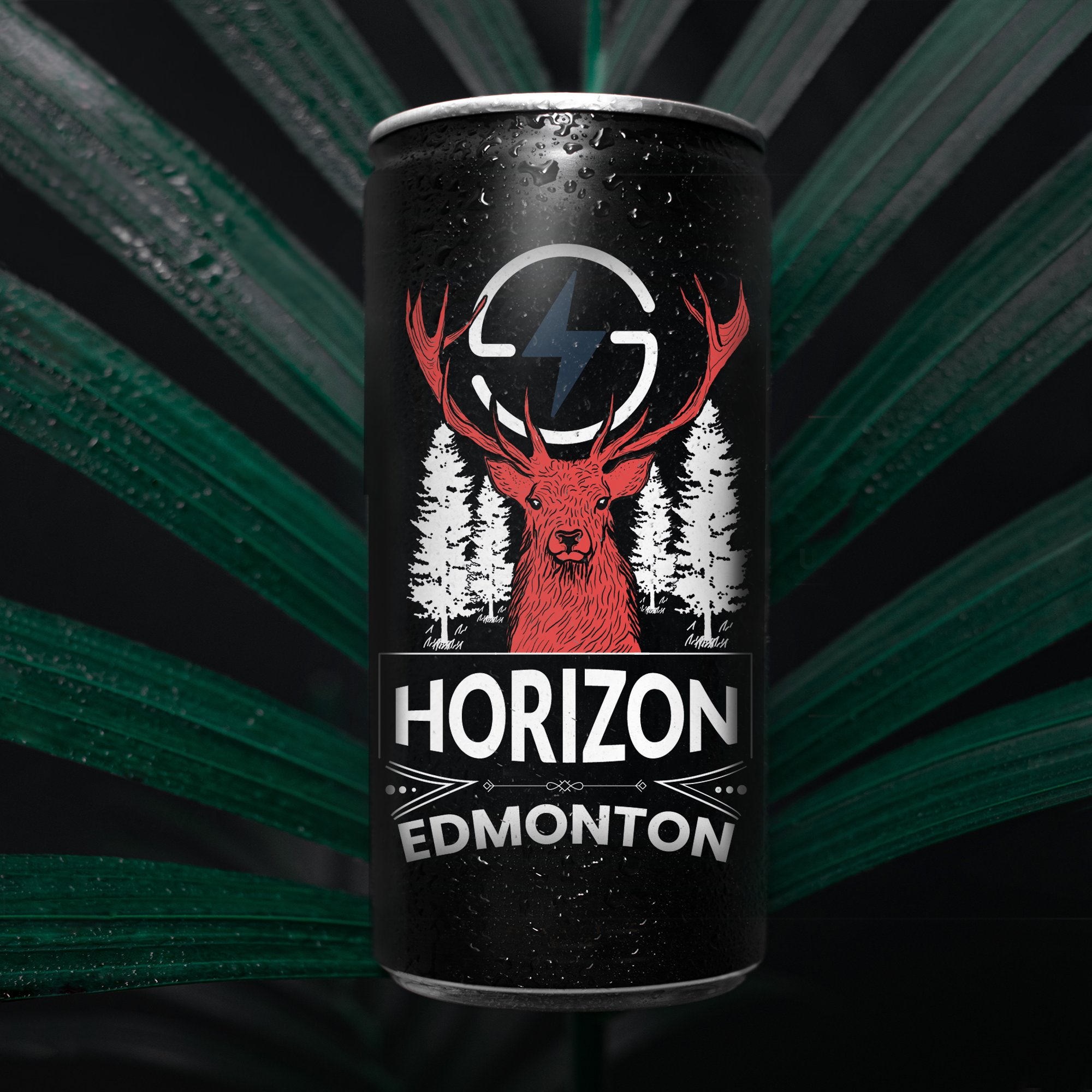 Example of 1 Packaging Illustration