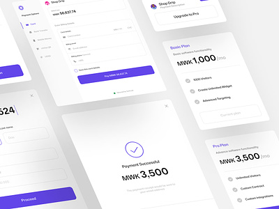 B2B Payment Components billing checkout components design design system fintech invoice payment payment gateway ui uidesign ux uxdesignmastery