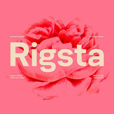 Rigsta Sans Serif Display Font animation branding font fonts graphic design logo nostalgic